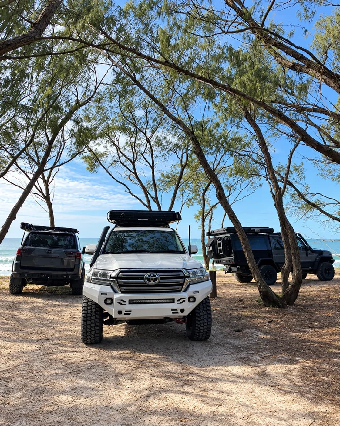 The 200 Series parked under coastal trees beside the beach at Straddie, two more 4x4s alongside.