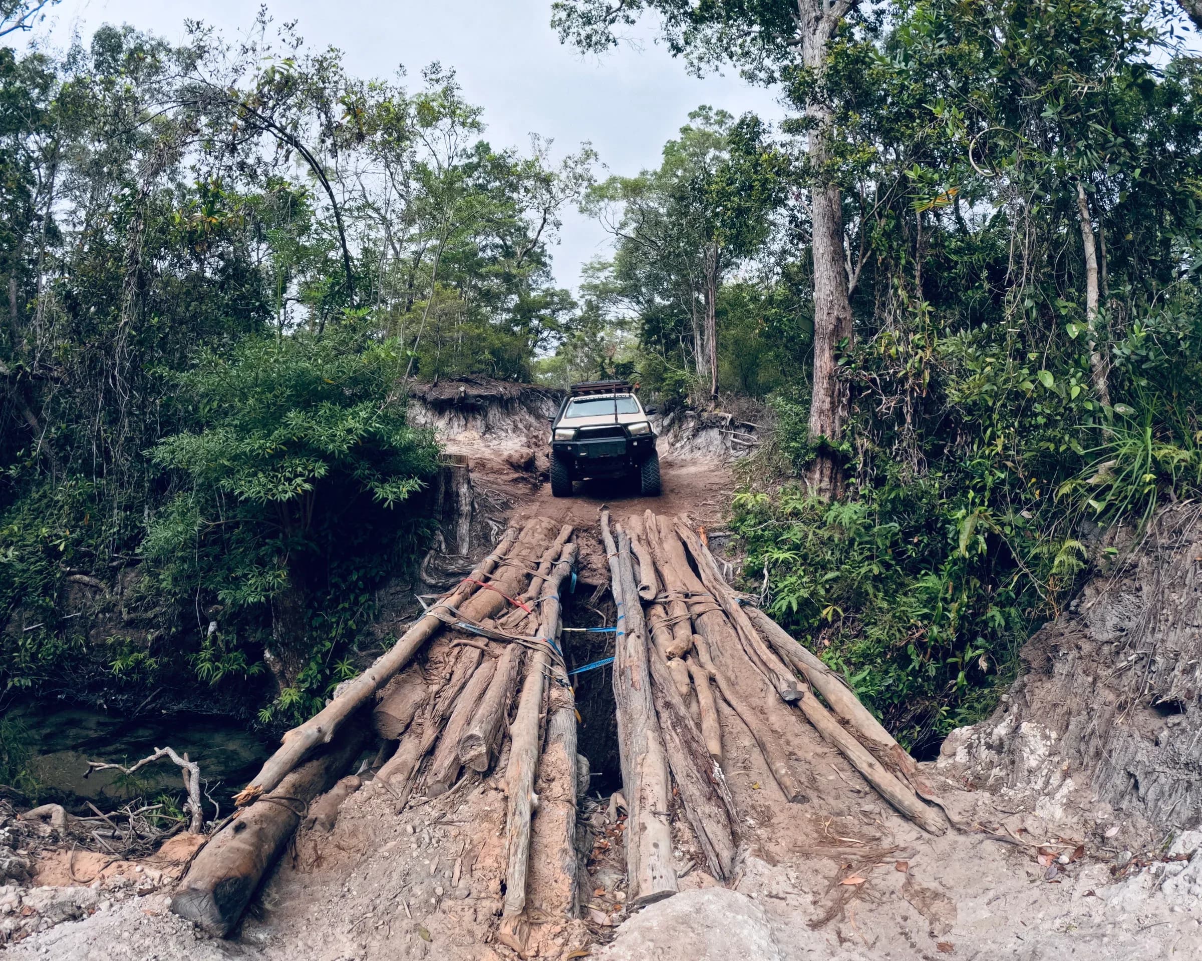A Hilux coming down a rainforest track towards a log bridge over a creek.
