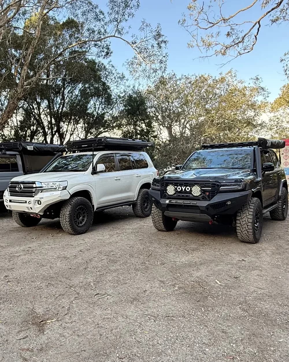 The 200 Series and a 300 Series parked in a track-side clearing among the paperbarks on Straddie.