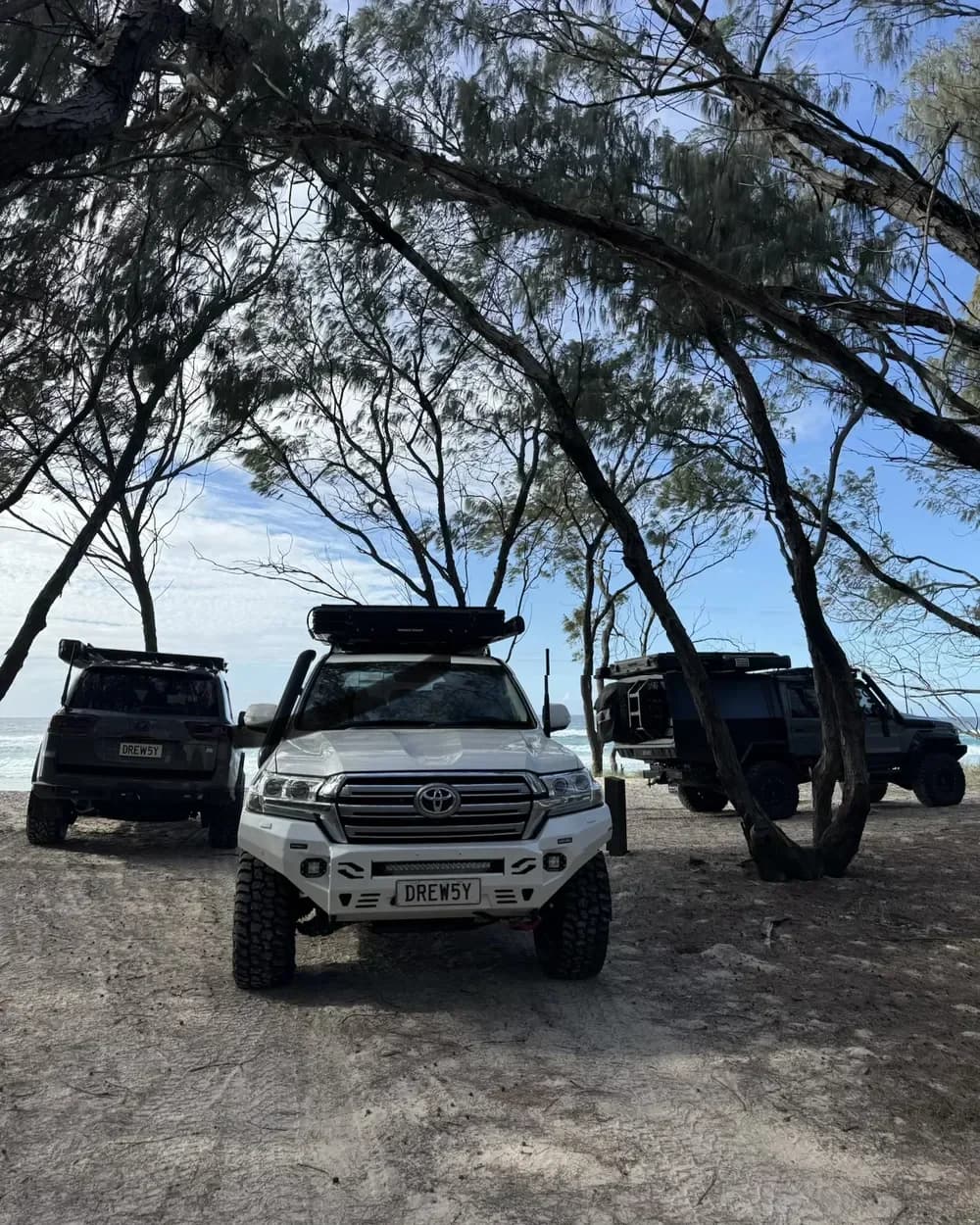 The 200 Series parked under coastal trees beside the beach at Straddie, two more 4x4s alongside.